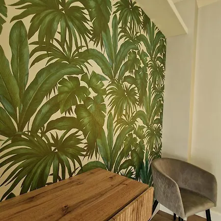 Alojamento de Acomodação e Pequeno-almoço Miracol 4*